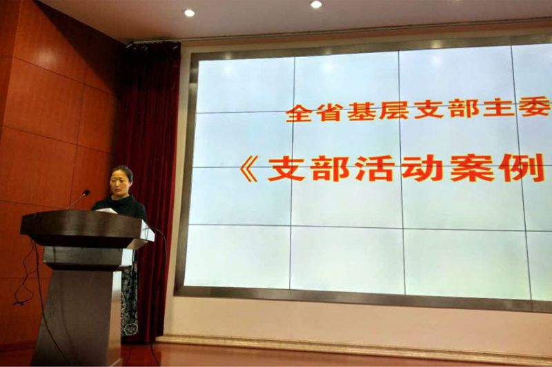 5月29日至31日，致公党江苏省委在南京高淳组织全省基层支部主委第二期轮训班.jpg